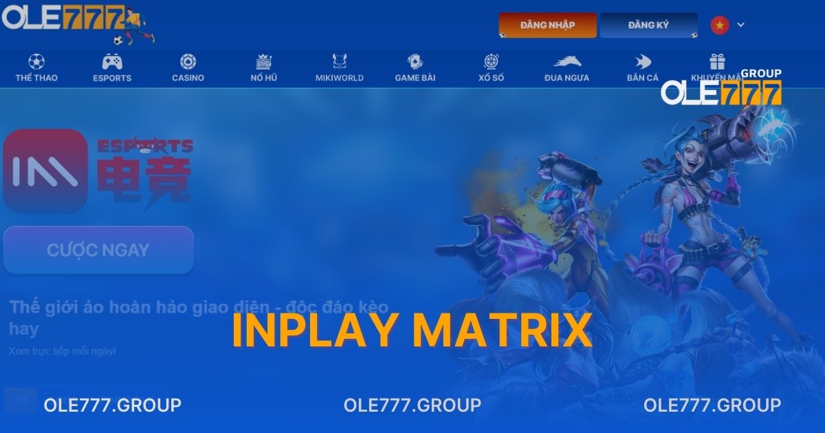 INPLAYMATRIX